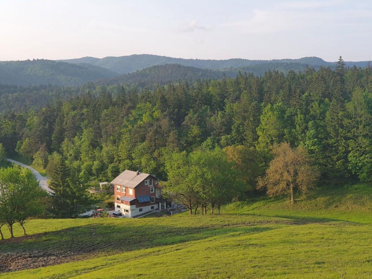 Apartma Narava Begunje pri Cerknici Exterior foto