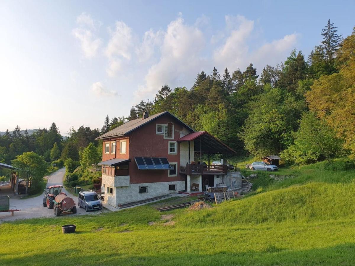 Apartma Narava Begunje pri Cerknici Exterior foto