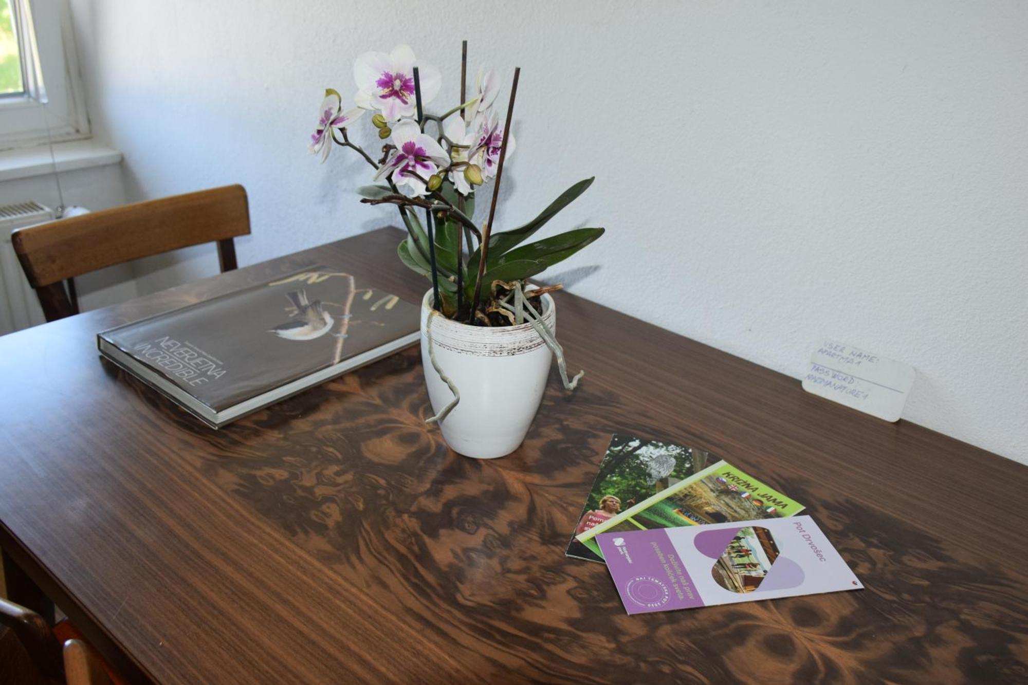 Apartma Narava Begunje pri Cerknici Cameră foto